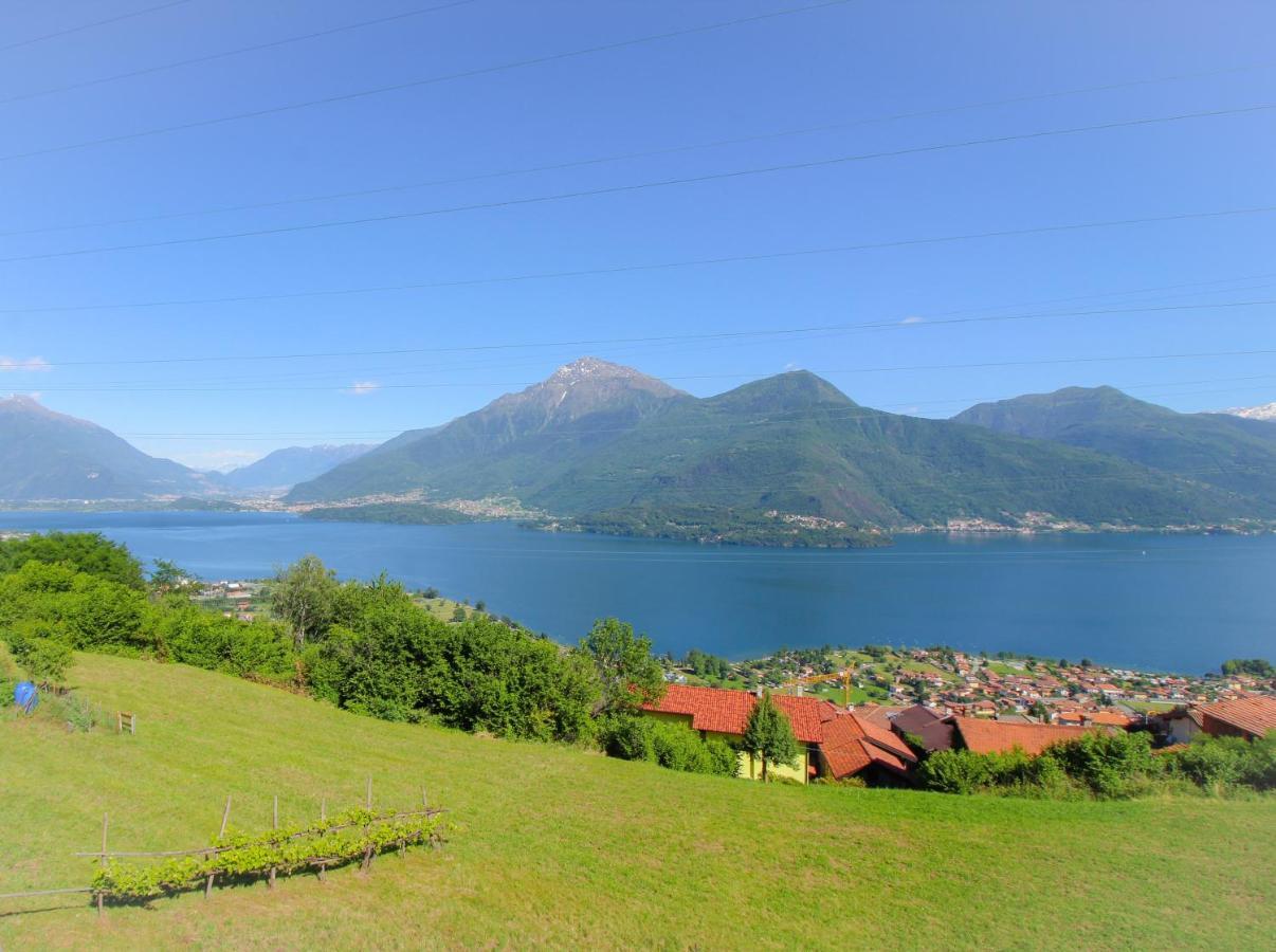 Residenza Castellum Apartment Stazzona Luaran gambar